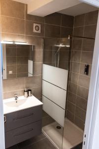 La salle de bains est pourvue d'un lavabo et d'une douche. dans l'établissement Maisonnette avec jardin, parc du chêne (tram T5), à Bron