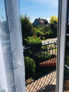 a sliding glass door with two potted plants on a balcony at U Wróbelka in Grzybowo