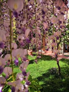 Kép Al Giardino Di Alice szállásáról Perugiában a galériában