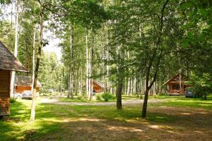 een bos van bomen met huizen op de achtergrond bij Muižnieki kempings in Renda