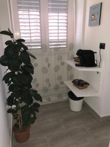 a bathroom with a potted plant next to a shower at Barce rooms in Palermo
