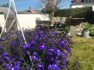 Giardino di Botanikerns hus