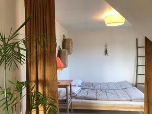 una camera con letto, scrivania e pianta di Botanikerns hus a Löderup