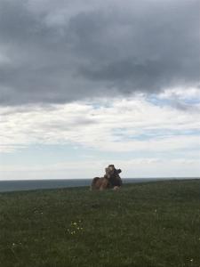 Paesaggio naturale nelle vicinanze della casa vacanze