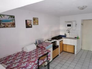Una pequeña cocina con una cama en una habitación en Villa Davor en Peštani
