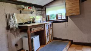 a small kitchen with a counter and a sink at Domek pod lasem in Mikołajki