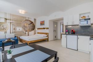 Kuchyňa alebo kuchynka v ubytovaní Apartmány Malen
