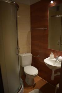 a bathroom with a toilet and a sink at Pokoje Gościnne Alpinka in Ustka
