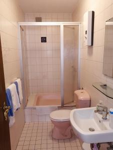 uma casa de banho com um chuveiro, um WC e um lavatório. em Haus Waldeck em Dasburg