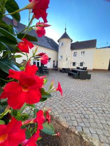 un groupe de fleurs rouges devant un bâtiment dans l'établissement Schloss Hainfeld, à Hainfeld