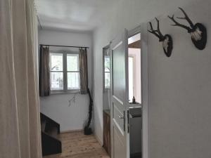 エーベンゼーにあるCharmante Altbauwohnungのバスルーム(シンク、鏡、鹿の頭付)