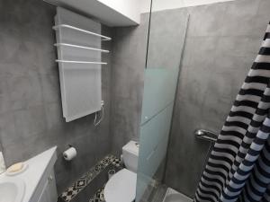 a small bathroom with a toilet and a shower at La Jeanne Marcelle T2 50m plage in Royan +12 photos