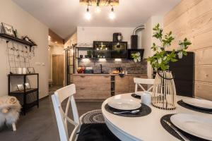 Kuchyňa alebo kuchynka v ubytovaní Apartament Karpielówka przy Potoku