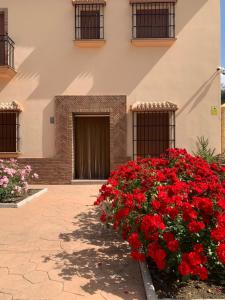 Budova, kde se aparthotel nachází