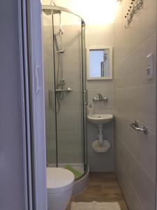 a bathroom with a shower and a toilet and a sink at POKOJE GOŚCINNE RENATA KNITTER in Komnino