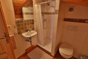 un bagno con doccia, WC e lavandino di Chalet Mavambo a Le Châble