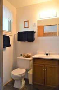 a bathroom with a toilet and a sink at Baileys Sunset Motel in Baileys Harbor