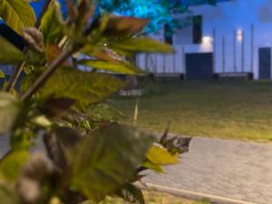 Vonkajšia záhrada v ubytovaní Zajazd w Białej