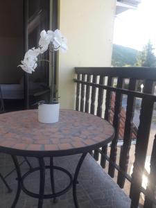 Billede fra billedgalleriet på Tokaj vendégház i Tokaj