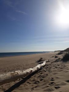 a piece of drift wood on a sandy beach at Luxury Penthouse in Naturiste; FKK, Nudist Village in Cap d'Agde