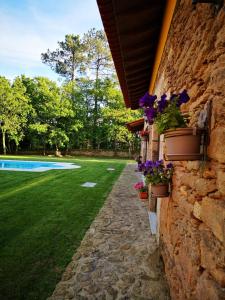un muro di pietra con piante in vaso e un cortile di Casas do Prazo - Turismo Rural a Nogueira