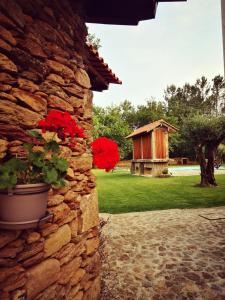 una pared de piedra con una maceta de flores y una casa en Casas do Prazo - Turismo Rural, en Nogueira