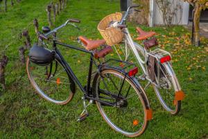 Ποδηλασία στο The Wine Shed ή στη γύρω περιοχή