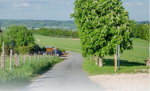 a tree on the side of a road at Panorama Gasthof Stemler in Eulenbis