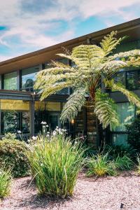 Flamingo Resort & Spa Santa Rosa Sonoma, Tapestry by Hilton外面的花园