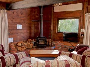 a living room with a fireplace and a couch and a television at The Cosy House - Ohakune Holiday Home in Ohakune