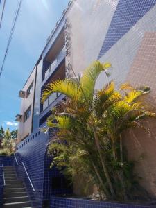 una palmera frente a un edificio en Palace Hotel, en Itajubá