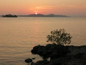 un arbre au coucher du soleil sur la rive de l'eau dans l'établissement Jansom Beach Resort, à Ranong