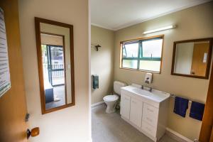 a bathroom with a toilet and a sink and a mirror at Bay of Islands Lodge in Paihia