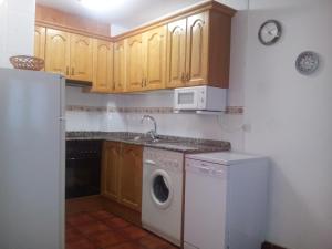 eine Küche mit einer Waschmaschine und einer Mikrowelle in der Unterkunft Apartamentos Petronilla in Benasque