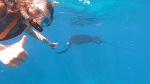 Snorkeling dan/atau menyelam di rumah percutian atau berdekatan