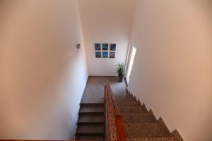 Galeriebild der Unterkunft Apartmani Branka Murter in Murter
