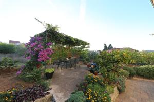 Ein Garten an der Unterkunft Apartmani Branka Murter