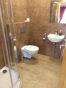 a bathroom with a toilet and a sink at Penzion Scarlet in Trenčín +9 photos