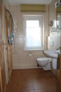 a bathroom with a toilet and a sink and a window at Ferienhaus Grimm in Friedrichsbrunn