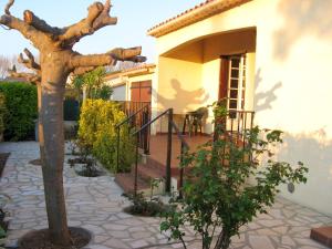 uma árvore num quintal ao lado de uma casa em Maison de 3 chambres avec piscine privee et jardin clos a Marseillan a 6 km de la plage em Marseillan