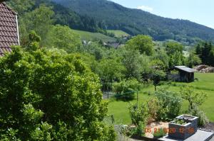a view of the garden from the house at Ferienwohnung Beim Holzmann in Gutach