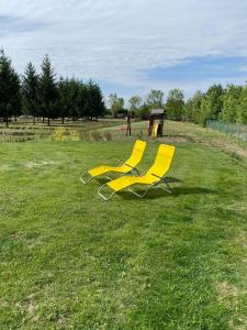 deux chaises jaunes assises dans un champ d’herbe dans l'établissement Sol Panzió, à Bük