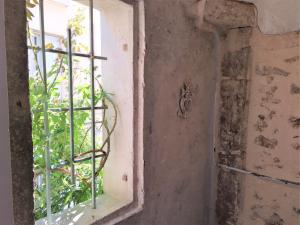 an open window with a view of a plant at le balcon de Saint Roch in Montpellier +21 photos