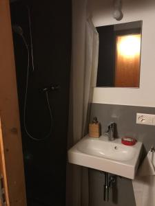 ein Bad mit einem Waschbecken, einer Dusche und einem Spiegel in der Unterkunft Hotel Alpina in Lumbrein