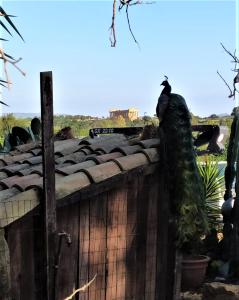 Fotografie z fotogalerie ubytování B&B Villa San Marco v destinaci Agrigento