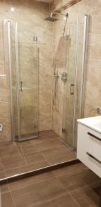 eine Dusche mit Glastür im Bad in der Unterkunft Schlafittchen in Bad Harzburg