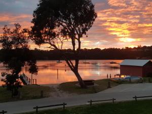 a sunset over a body of water with a tree at Bayview Apartments in Merimbula