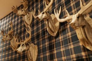 Zvířata v hotelu nebo okolí