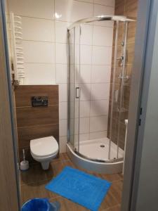 ミエンジレシエにあるWilla Wiktoriaのシャワーとトイレ付きの小さなバスルーム