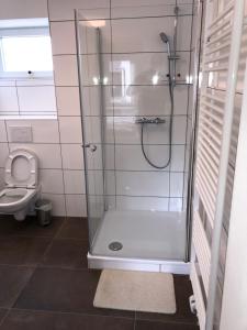 La salle de bains est pourvue d'une douche et de toilettes. dans l'établissement Abtei Apartment Brauweiler, à Pulheim